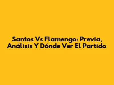 Santos Vs Flamengo: Previa, Análisis Y Dónde Ver El Partido