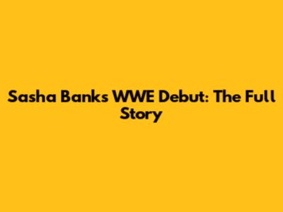 Sasha Banks' WWE Debut: The Full Story