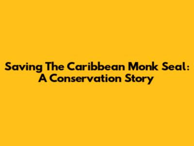 Saving The Caribbean Monk Seal: A Conservation Story
