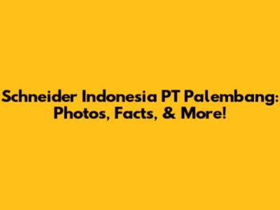 Schneider Indonesia PT Palembang: Photos, Facts, & More!