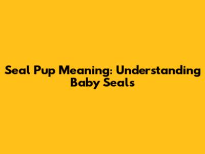 Seal Pup Meaning: Understanding Baby Seals