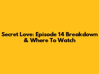 Secret Love: Episode 14 Breakdown & Where To Watch