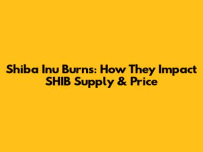 Shiba Inu Burns: How They Impact SHIB Supply & Price