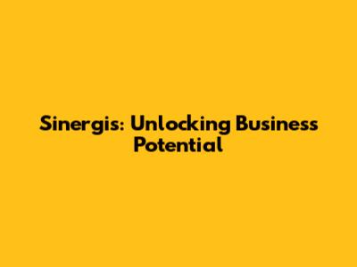 Sinergis: Unlocking Business Potential