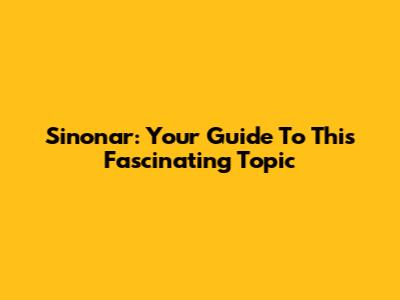 Sinonar: Your Guide To This Fascinating Topic