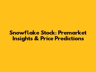 Snowflake Stock: Premarket Insights & Price Predictions