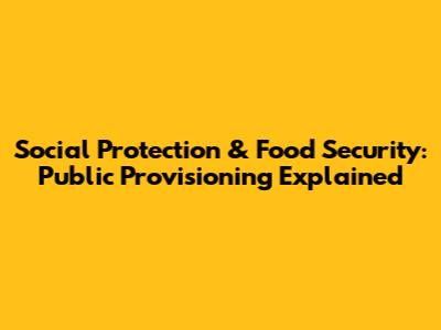 Social Protection & Food Security: Public Provisioning Explained