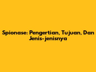 Spionase: Pengertian, Tujuan, Dan Jenis-jenisnya