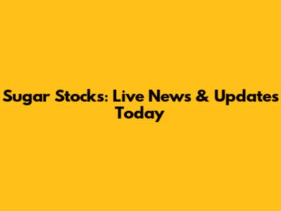 Sugar Stocks: Live News & Updates Today