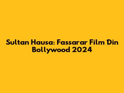 Sultan Hausa: Fassarar Film Ɗin Bollywood 2024