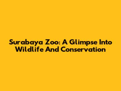 Surabaya Zoo: A Glimpse Into Wildlife And Conservation