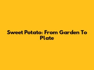 Sweet Potato: From Garden To Plate