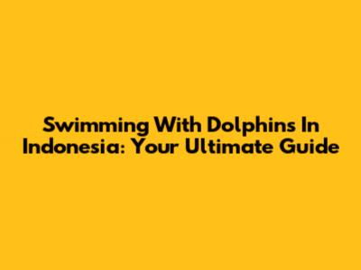 Swimming With Dolphins In Indonesia: Your Ultimate Guide