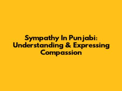 Sympathy In Punjabi: Understanding & Expressing Compassion