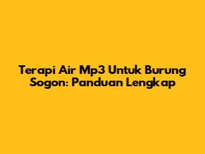 Terapi Air Mp3 Untuk Burung Sogon: Panduan Lengkap