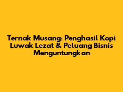 Ternak Musang: Penghasil Kopi Luwak Lezat & Peluang Bisnis Menguntungkan