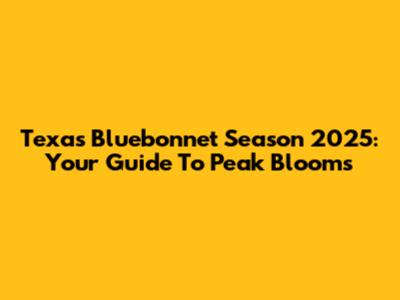 Texas Bluebonnet Season 2025: Your Guide To Peak Blooms