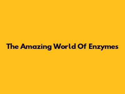 The Amazing World Of Enzymes