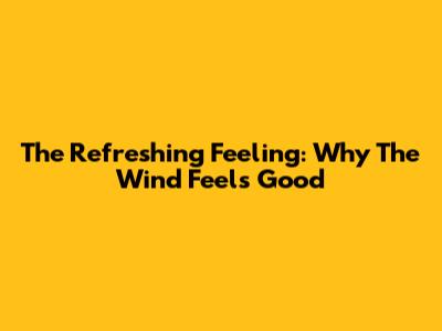 The Refreshing Feeling: Why The Wind Feels Good