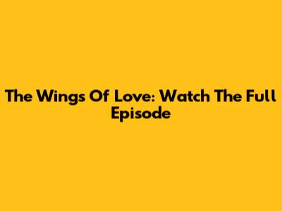 The Wings Of Love: Watch The Full Episode