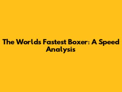 The World's Fastest Boxer: A Speed Analysis