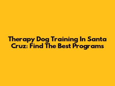 Therapy Dog Training In Santa Cruz: Find The Best Programs
