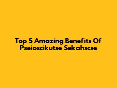 Top 5 Amazing Benefits Of Pseioscikutse Sekahscse