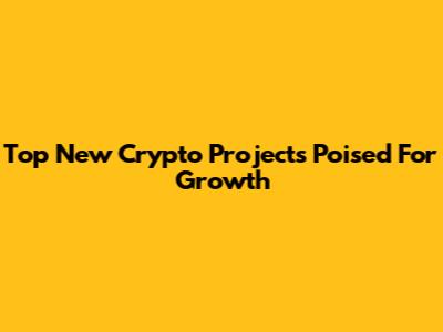 Top New Crypto Projects Poised For Growth