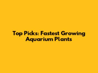 Top Picks: Fastest Growing Aquarium Plants