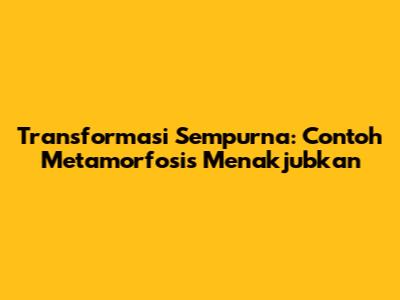 Transformasi Sempurna: Contoh Metamorfosis Menakjubkan