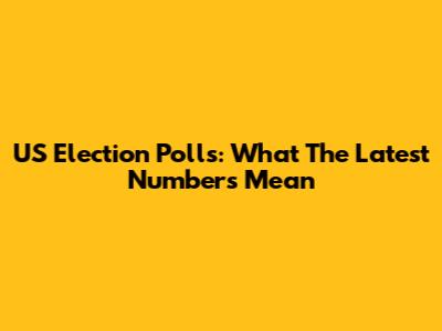 US Election Polls: What The Latest Numbers Mean