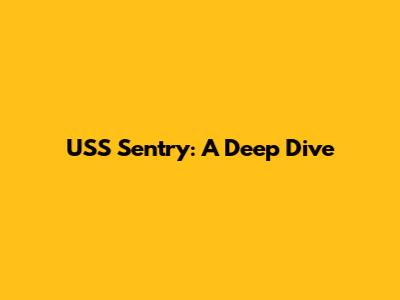 USS Sentry: A Deep Dive