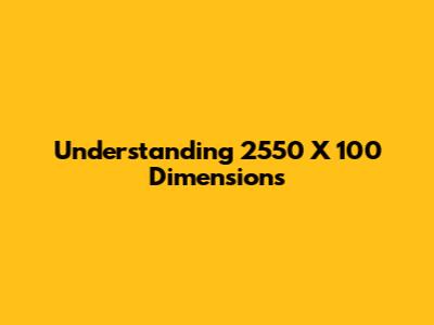 Understanding 2550 X 100 Dimensions