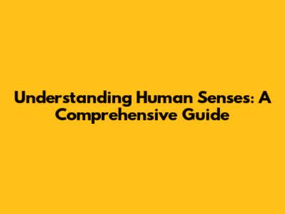 Understanding Human Senses: A Comprehensive Guide