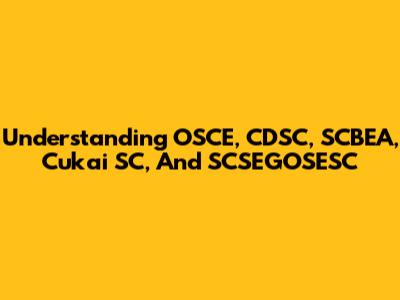 Understanding OSCE, CDSC, SCBEA, Cukai SC, And SCSEGOSESC