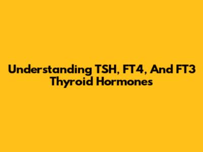 Understanding TSH, FT4, And FT3 Thyroid Hormones