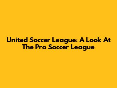 United Soccer League: A Look At The Pro Soccer League