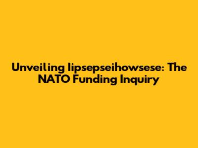 Unveiling Iipsepseihowsese: The NATO Funding Inquiry