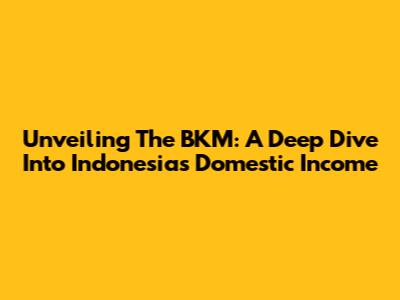 Unveiling The BKM: A Deep Dive Into Indonesia's Domestic Income