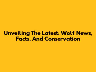 Unveiling The Latest: Wolf News, Facts, And Conservation