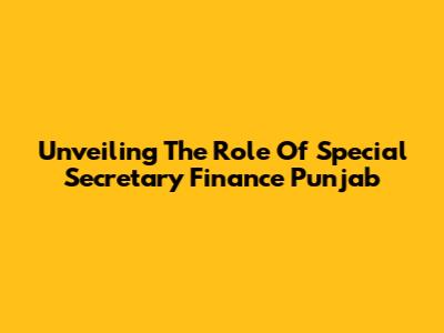 Unveiling The Role Of Special Secretary Finance Punjab