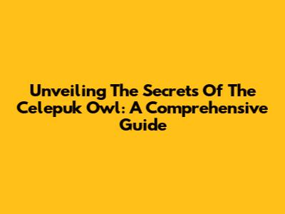 Unveiling The Secrets Of The Celepuk Owl: A Comprehensive Guide
