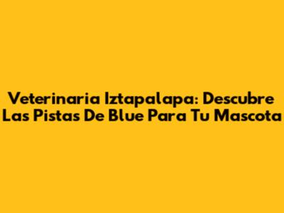 Veterinaria Iztapalapa: Descubre Las Pistas De Blue Para Tu Mascota