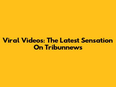 Viral Videos: The Latest Sensation On Tribunnews