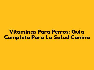 Vitaminas Para Perros: Guía Completa Para La Salud Canina