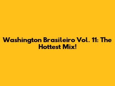 Washington Brasileiro Vol. 11:  The Hottest Mix!