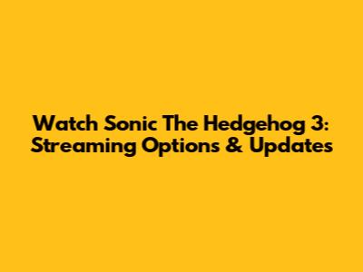 Watch Sonic The Hedgehog 3: Streaming Options & Updates