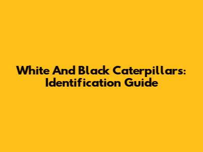 White And Black Caterpillars: Identification Guide