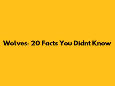Wolves: 20 Facts You Didn't Know