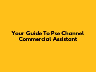 Your Guide To Pse Channel Commercial Assistant